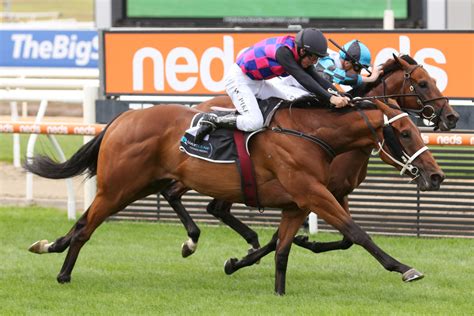 2021 railway stakes|Railway Stakes .